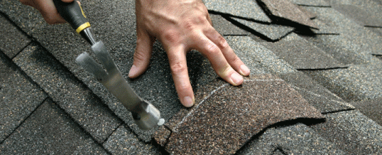 Driving Quality with Every Nail!