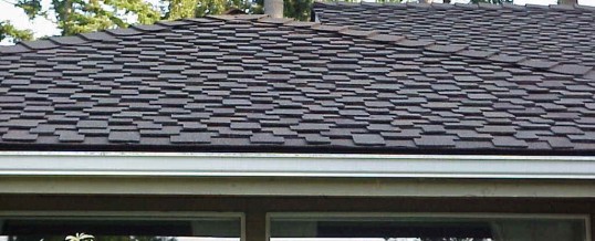 Why Tallahassee Homes Have Architectural Roofing Shingles Davesroofingllc Net