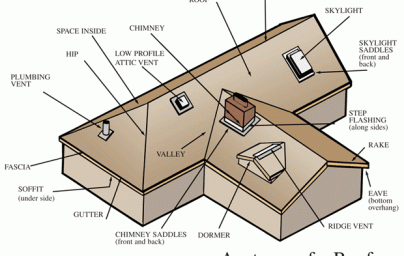 Comprehensive Roof Assessment