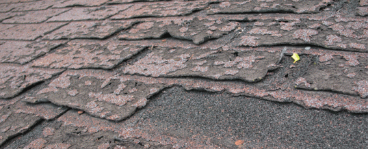 Shingle Deterioration & Roof Damage