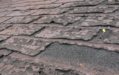 Shingle Deterioration & Roof Damage