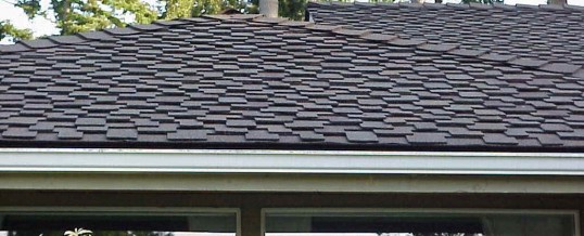 Why Tallahassee homes have architectural roofing shingles